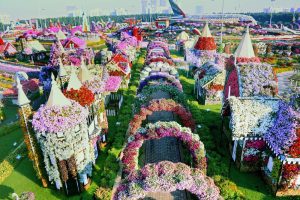 Miracle Garden