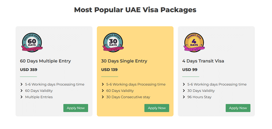 Dubai Visit Visa